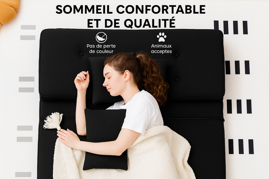 Canapé-lit noir confortable